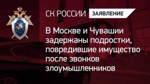 В Москве и Чувашии задержаны подростки, повредившие имущество после звонков злоумышленников