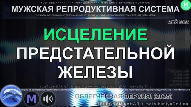 ПРОЩАЙ ПРОСТАТИТ*Здоровье Простаты и Энергии*Секрет Мужской Силы*САБЛИМИНАЛ смотреть онлайн