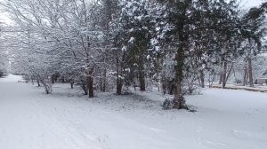 Анапа,прогулка по зимнему парку Джунгли 🤗🤗🤗