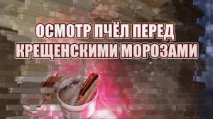 16 января 26 года, осмотр пчёл, перед Крещенскими морозами 🥶