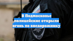 В Балашихе полицейские применили оружие для усмирения водителя премиального авто