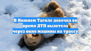 В Нижнем Тагиле девочка во время ДТП вылетела через окно машины на трассу