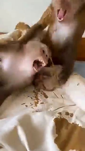 Фонтан. смотреть онлайн