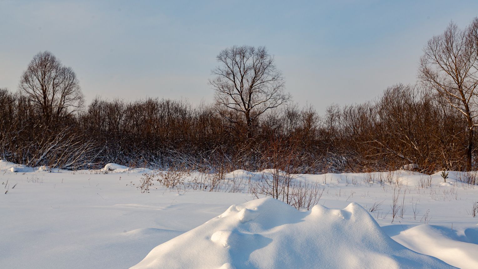 Куртуково дачный поселок береговой смотреть онлайн