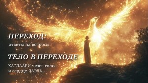 Переход. Ответы на вопросы | Тело в Переходе