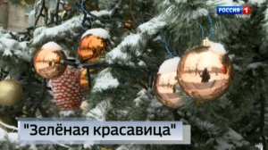 Макеевская ёлка стала финалистом всероссийского конкурса