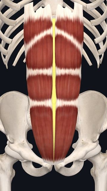 Ваш живот перекошен, и вы не знаете об этом смотреть онлайн