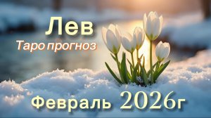 ЛЕВ ‼️ ТАРО ПРОГНОЗ НА ФЕВРАЛЬ 2026