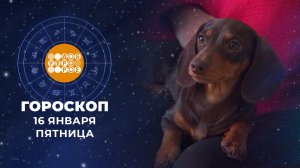 Гороскоп на 16 января для всех знаков зодиака