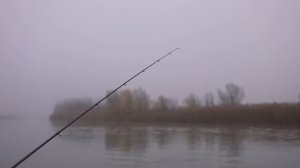 ЗАПРЕТНАЯ РЫБА КЛЮЁТ БЕШЕНО! ЗА КРУПНЫМ САЗАНОМ В ТУМАН! НА РЫБАЛКУ С ЖЕНОЙ!