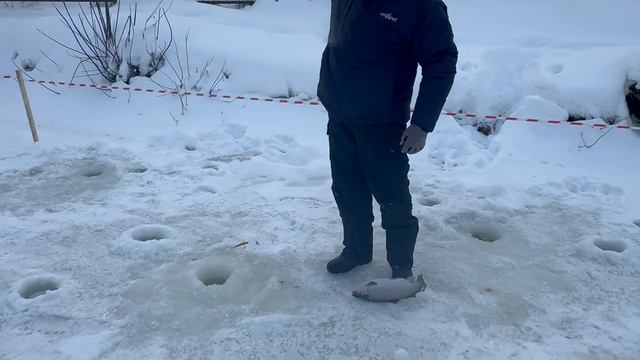 105ый.СЗ смотреть онлайн