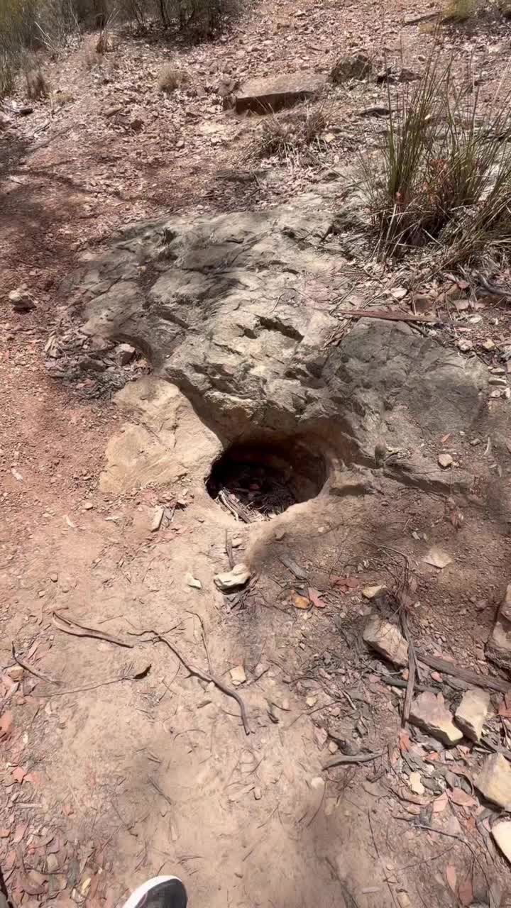 Точки притяжения австралийских аборигенов смотреть онлайн