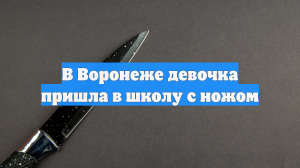 В Воронеже шестиклассница пришла на уроки с ножом