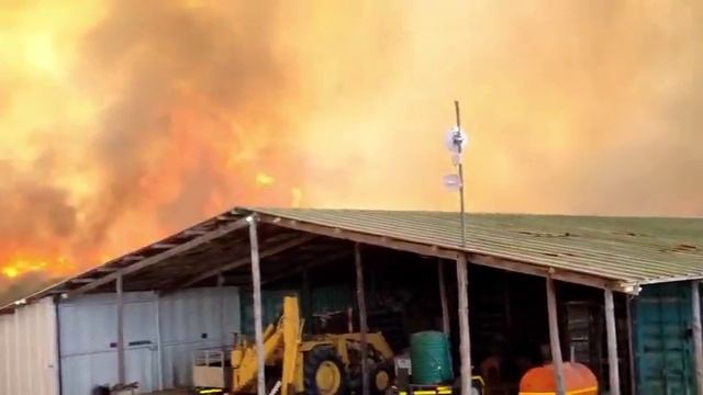 Рекордные лесные пожары продолжают опустошать Западную Капскую провинцию ЮАР