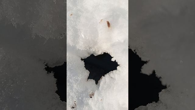 292.mp4 смотреть онлайн