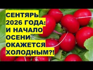 СЕНТЯБРЬ 2026: Начало Осени Также Ожидается Холодным?!