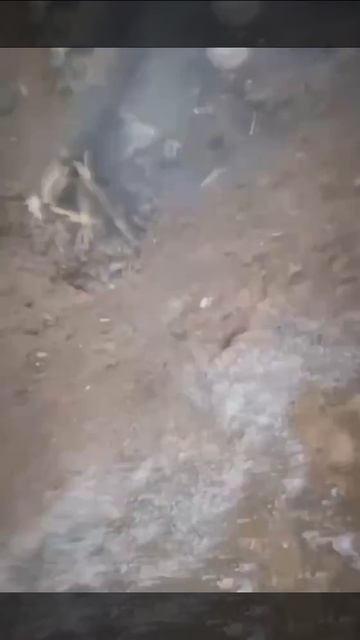 «Слово даю, никто не тронет»: русские бойцы показали, как буквально спасли жизнь ВСУшникам… смотреть онлайн