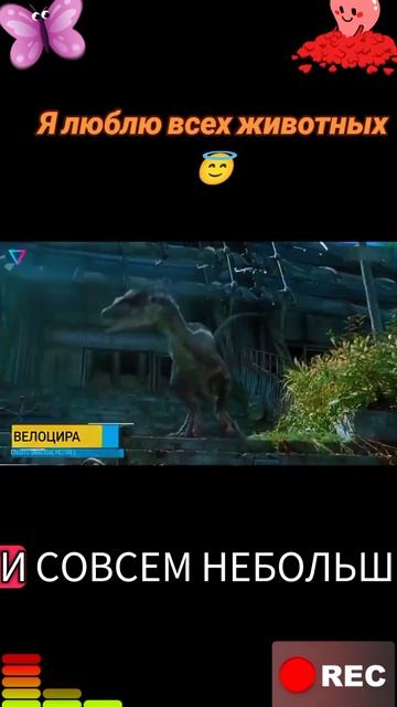 Я люблю всех животных😇 смотреть онлайн