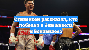 Стивенсон рассказал, кто победит в бою Бивола и Бенавидеса