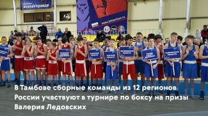 В Тамбове сборные команды из 12 регионов участвуют в турнире по боксу на призы Валерия Ледовских