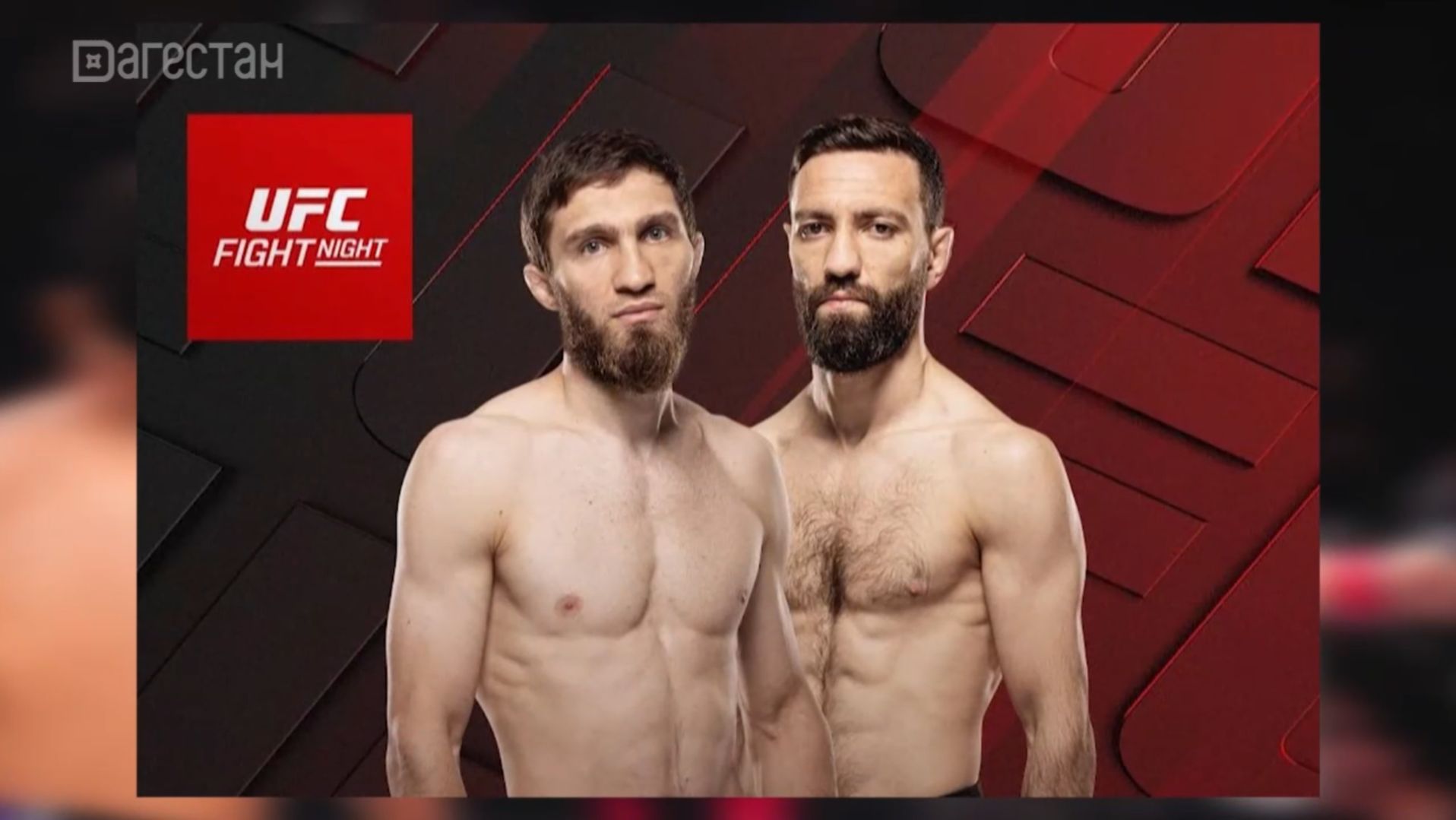 Стала известна дата боя Саид Нурмагомедов - Джавид БАшарат смотреть онлайн