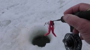 Ловля зимой на течении. Монтаж работает.