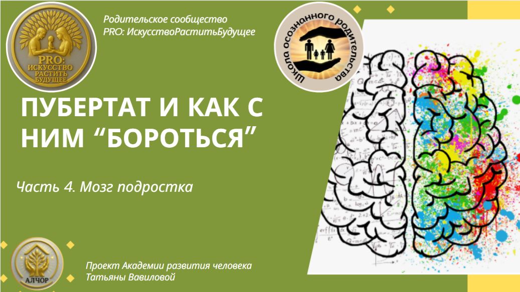 ШОР: Занятие 17. Мозг подростка