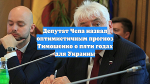 Депутат Чепа назвал оптимистичным прогноз Тимошенко о пяти годах для Украины