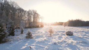 Кто разбогатеет, а кого ждут перемены.