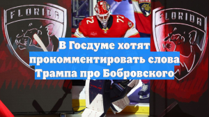 В Госдуме хотят прокомментировать слова Трампа про Бобровского