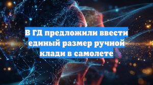 В ГД предложили ввести единый размер ручной клади в самолете