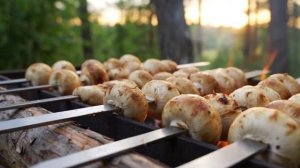 ШАМПИНЬОНЫ НА ШАМПУРАХ