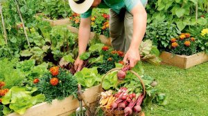 Хозяйственные премудрости