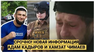 СРОЧНО! ПОСЛЕДНЯЯ ИНФОРМАЦИЯ О  ДТП ХАМЗАТА ЧИМАЕВА И АДАМА КАДЫРОВА!