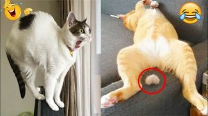 СМЕЙСЯ ДО СЛЁЗ 🤣 ВЕСЕЛАЯ ПОДБОРКА ПРИКОЛОВ С ЖИВОТНЫМИ😁