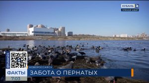 Специалист Черкашин рассказал, как правильно подкармливать птиц зимой