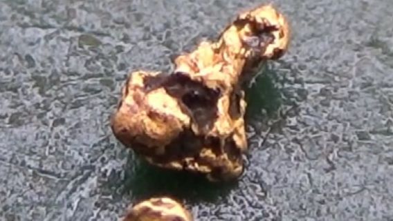 Нашёл самородное Золото на старинном прииске под корнем! смотреть онлайн