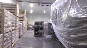 69 сортов гортензий ОКС собственного производства предлагает Питомник и Садовый центр Веры Глуховой