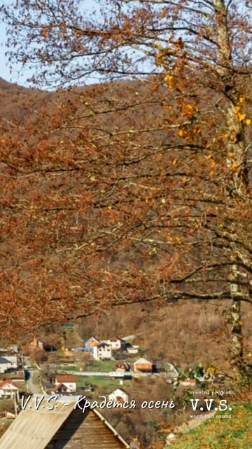 V.V.S. - Крадётся осень