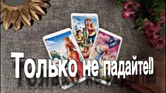 ТАРО РАСКЛАД☘️❤️ Только не падайте! Читаем МЫСЛИ загаданного Короля! смотреть онлайн