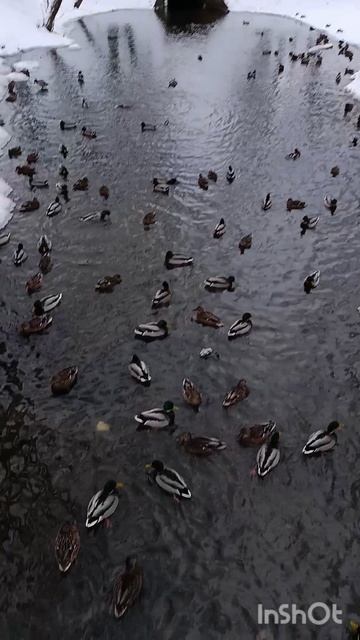 15/365 смотреть онлайн