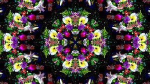 С Днём Рождения! Букеты роз 7 от Киностудии Мудрого Кота Тимофея!