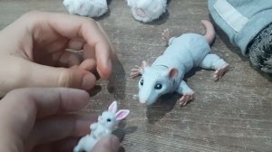 новые 2 3D игрушки?!? обзор на крысу Катю и маленькую зайку