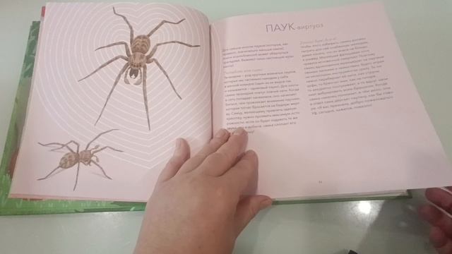 Покупки) Новые энциклопедии от "Пешком в историю" смотреть онлайн