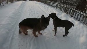 Прогулка с лазером: до и после