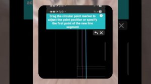 1000046050.mp4 (Собака наблюдает за устройством лестницы на 2 этаж в доме А-фрейм)