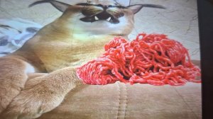 слоппа готовит пельмени из мультсериала блап тап