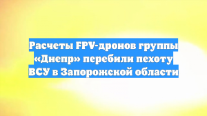 Расчеты FPV-дронов группы «Днепр» перебили пехоту ВСУ в Запорожской области