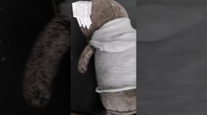 делаю басику футболку с копюшоном😅💕