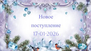 Новое поступление 17-01-2026